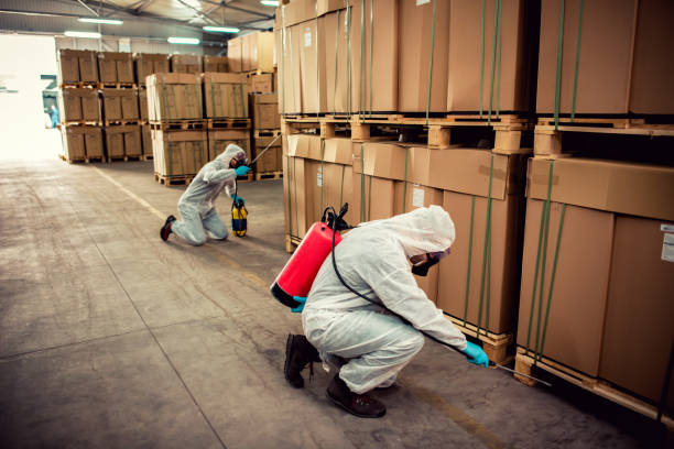 Best Local Pest Control Services  in Gardner, KS