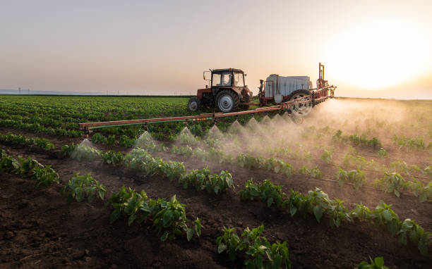 Best Commercial Pest Control Services  in Gardner, KS