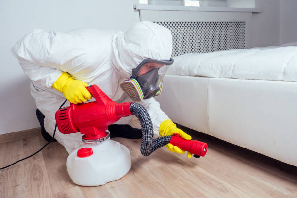 Best Affordable Pest Control Services  in Gardner, KS