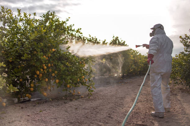 Gardner, KS Pest Control Pros