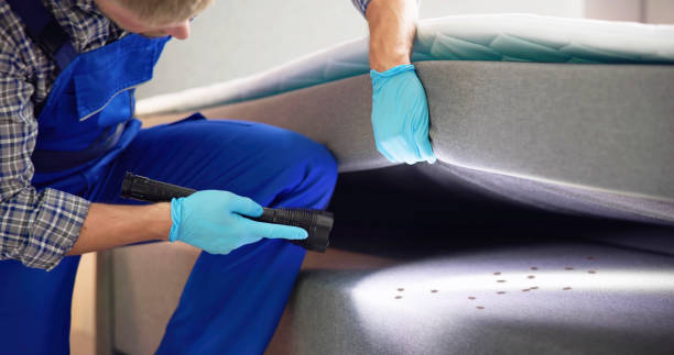 Best Wasp Removal Services  in Gardner, KS