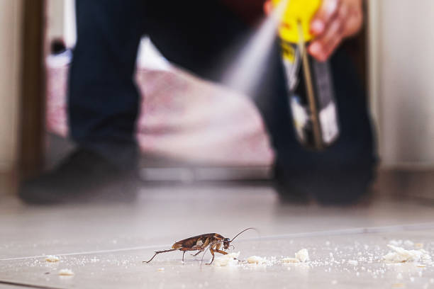 Best Best Pest Control Companies  in Gardner, KS